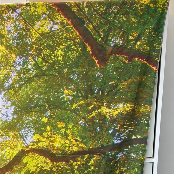 Sunlit Forest Wall Tapestry - Picture 3 of 7